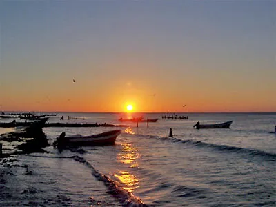Hotel Palapas Las Gonzas Isla Holbox