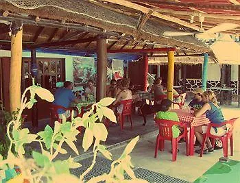 Hotel Palapas Las Gonzas Isla Holbox