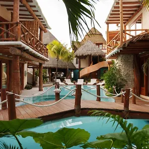 ホテル Casa Tortugas Petit &, ホルボックス島